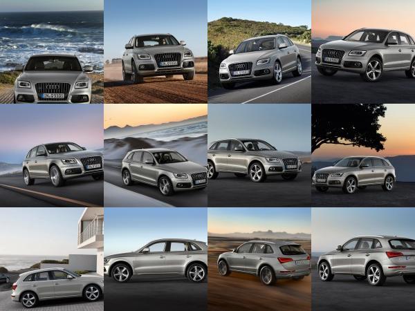 Audi Q5 (2013) - picture 1 of 22