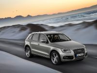 Audi Q5 SUV (2013) - picture 6 of 22