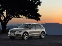 Audi Q5 SUV (2013) - picture 8 of 22