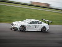 Bentley Continental GT3 Concept Racer (2013) - picture 3 of 5