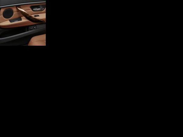 BMW 3-Series Li (2013) - picture 25 of 25