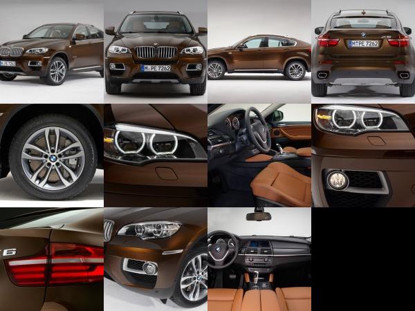 BMW X6 Sports Activity Coupe (2013) - picture 1 of 11