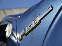 Ford F-150 XLT (2013)