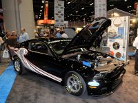 Ford Mustang Cobra Jet (2013)