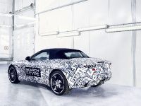 Jaguar F-Type Sports Car (2013)