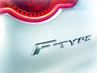 Jaguar F-Type Sports Car (2013) - picture 8 of 9