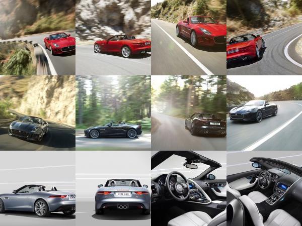 Jaguar F-Type (2013) - picture 13 of 30
