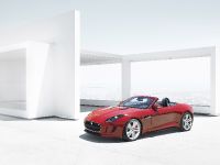 Jaguar F-Type (2013) - picture 2 of 30