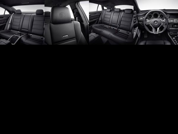 Mercedes-Benz CLS 63 AMG (2013) - picture 13 of 16