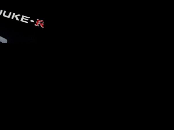Nissan Juke-R #001 (2013) - picture 13 of 13