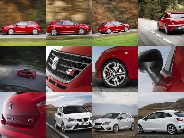 SEAT Ibiza Cupra (2013) - picture 25 of 55