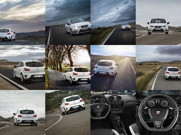 SEAT Ibiza Cupra (2013) - picture 37 of 55