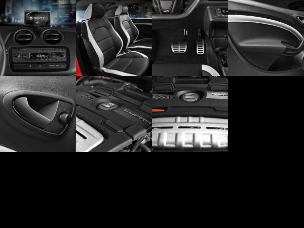SEAT Ibiza Cupra (2013) - picture 49 of 55