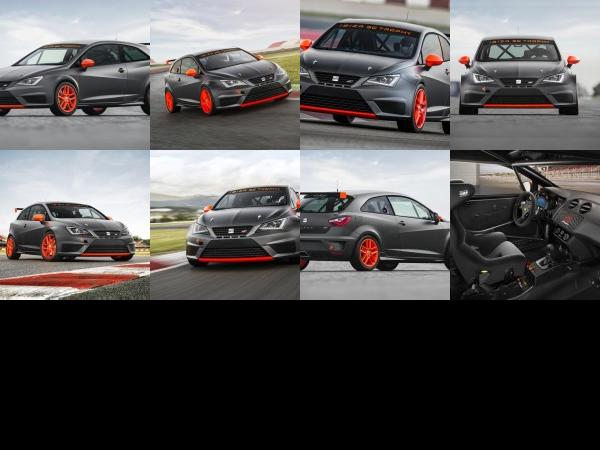 SEAT Ibiza SC Trophy (2013) - picture 1 of 8