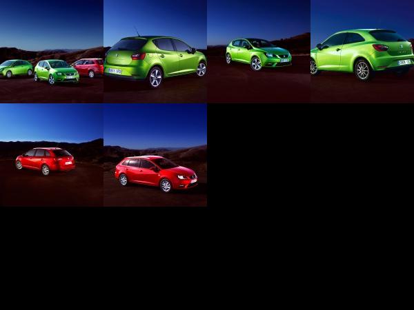 SEAT Ibiza (2013) - picture 1 of 6