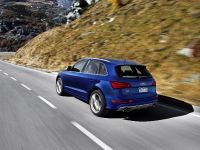 Audi SQ5 (2014)
