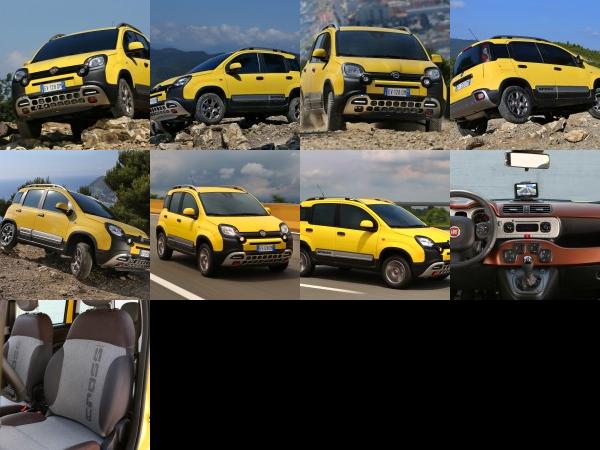 Fiat Panda Cross 4x4 (2014) - picture 1 of 9