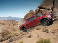 Ford F-150 SVT Raptor Special Edition (2014) - picture 2 of 7
