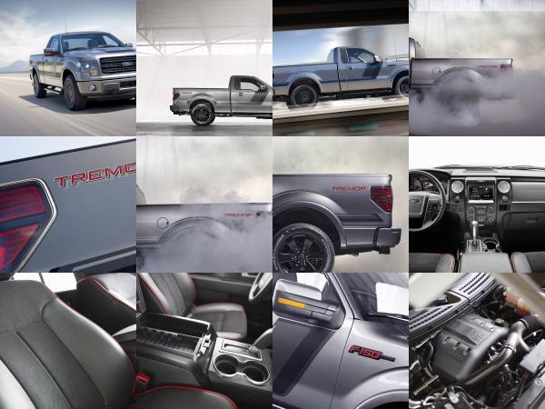Ford F-150 Tremor (2014) - picture 1 of 18