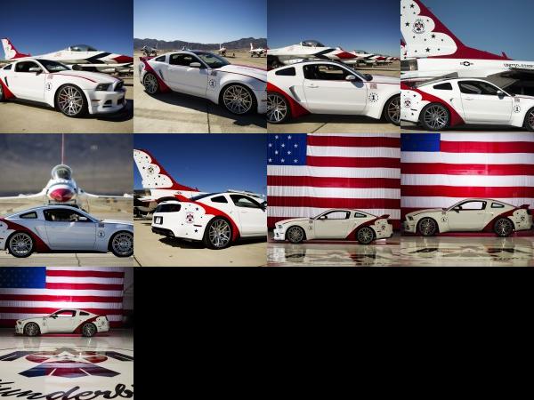 Ford Mustang GT U.S. Air Force Thunderbirds Edition (2014) - picture 1 of 9