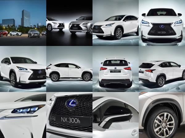 Lexus NX 300h Sports Luxury (2014) - picture 1 of 42