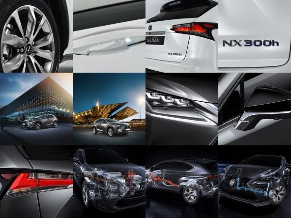 Lexus NX 300h Sports Luxury (2014) - picture 13 of 42