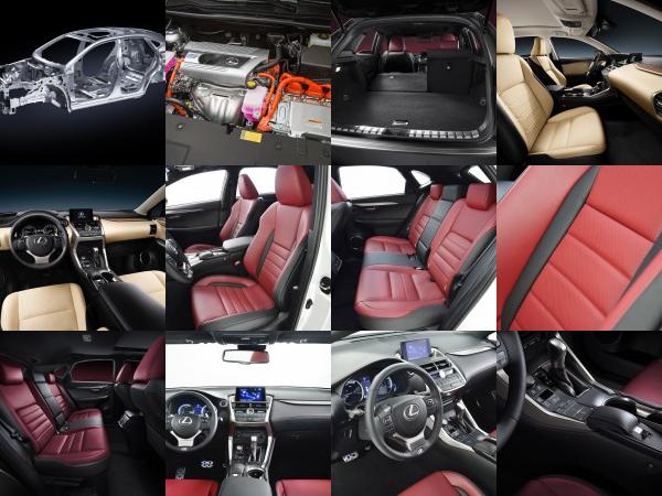 Lexus NX 300h Sports Luxury (2014) - picture 25 of 42