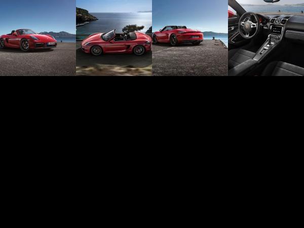Porsche Boxster GTS (2014) - picture 1 of 4