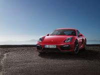 Porsche Cayman GTS (2014)