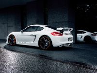 Techart Porsche Cayman (2014) - picture 2 of 6