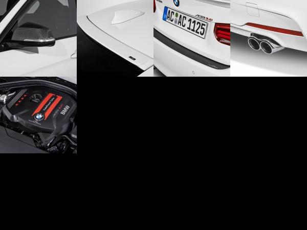 AC Schnitzer BMW X6 M FALCON (2015) - picture 13 of 17