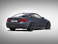 Alpha-N Performance BMW 4-Series (2015)