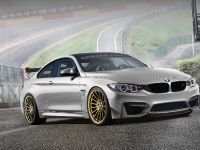 Alpha-N Performance BMW M4 (2015)