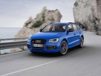 Audi SQ5 TDI Plus (2015)