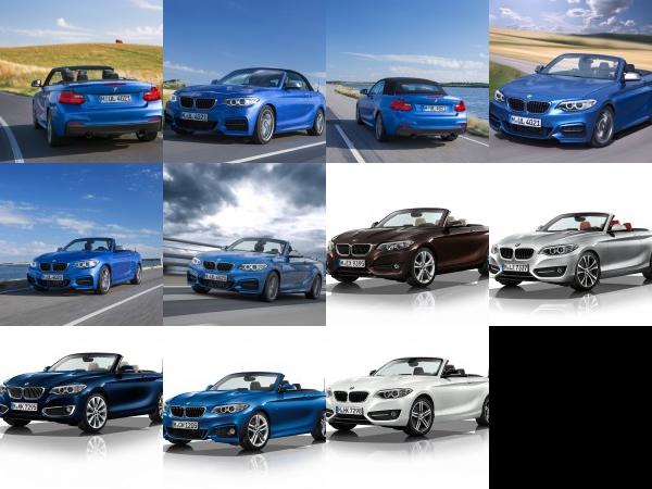 BMW 2 Series Convertible (2015) - picture 61 of 71