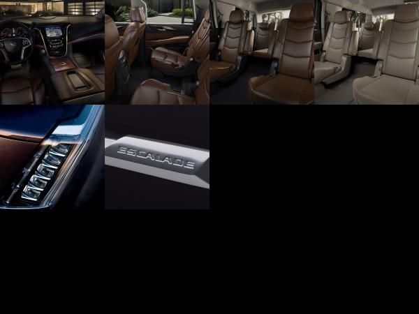 Cadillac Escalade (2015) - picture 13 of 18