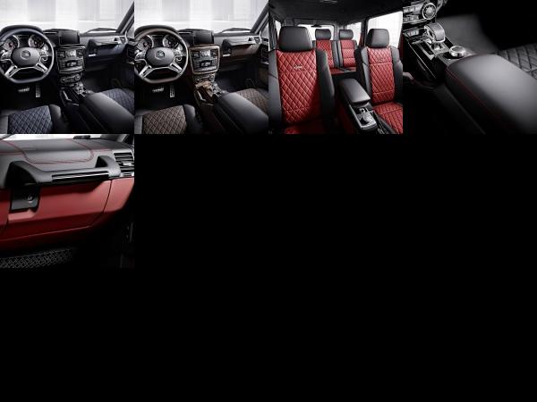 Others designo manufaktur Mercedes-Benz G-Class (2015) - picture 13 of 17