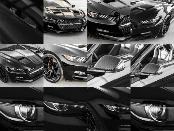 Fisker GAS-Fisker Ford Mustang Rocket (2015) - picture 25 of 42