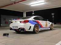 M&amp;D BMW 650i PD6XX GT3 (2015) - picture 4 of 15