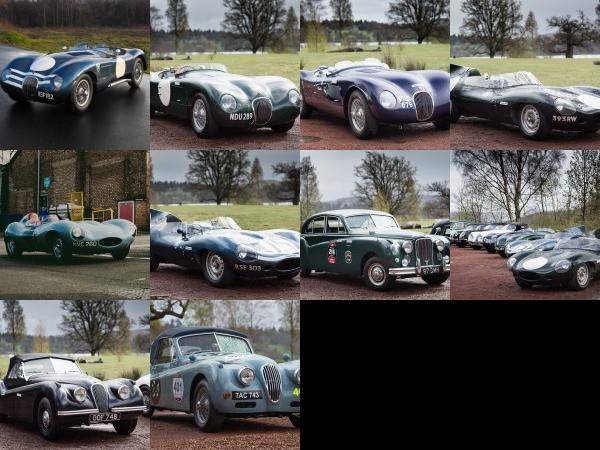 Jaguar Mille Migia Classic Jaguar models (2015) - picture 1 of 10
