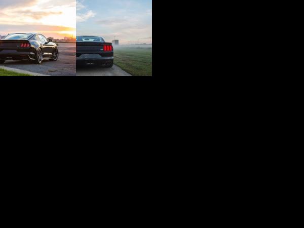 ROUSH Ford Mustang Lineup (2014) - picture 13 of 14