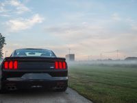 Roush Ford Mustang Lineup (2014)