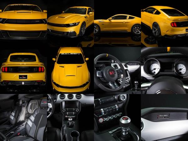 Saleen S302 Black Label Mustang (2015) - picture 1 of 28