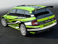 Skoda Fabia R5 Combi (2015)