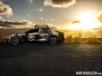 SS Customs Tesla Model S TeslaVets (2015)