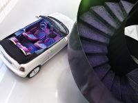 Vilner MINI One Cabrio (2015)