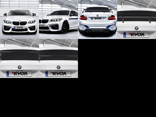 BMW Alpha-N Performance BMW M2 F87 (2016) - picture 1 of 6
