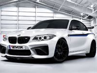 Alpha-N Performance BMW M2 F87 (2016)