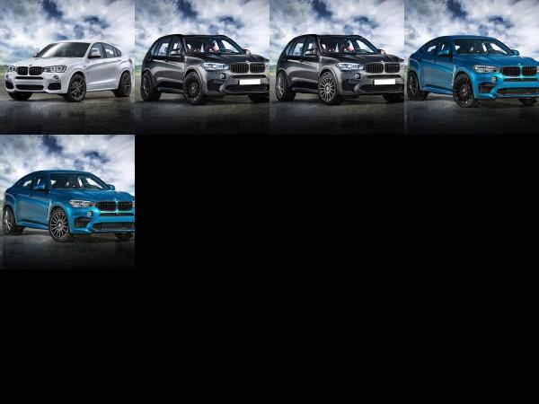 BMW Alpha-N Performance BMW X Models (2016) - picture 1 of 5