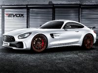 Alpha-N Performance Mercedes-AMG GT R (2016) - picture 3 of 5